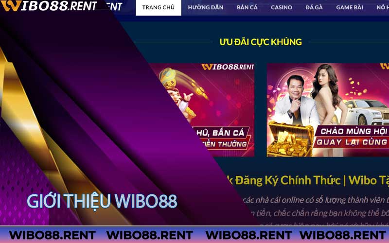 giới thiệu wibo88